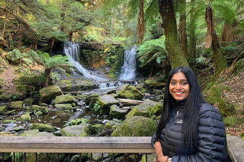 Day Tour In Mt. Field, Mt. Wellington, Bonorong Wildlife Sanctuary And Richmond - Gold Coast Attractions 5