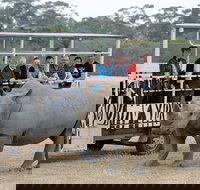 Off-Road Safari at Werribee Open Range Zoo - Gold Coast Attractions