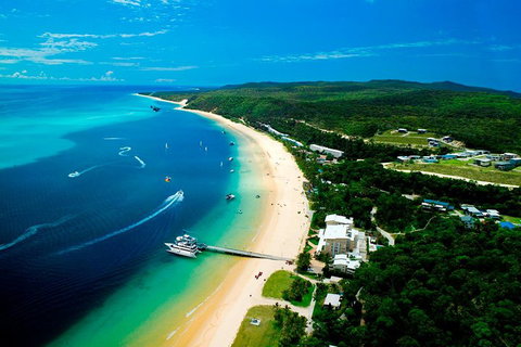 Tangalooma Island Resort Whale Watching Day Cruise - Gold Coast Attractions 2