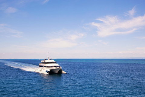 Tangalooma Island Resort Whale Watching Day Cruise - Gold Coast Attractions 5