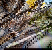 Kakadu National Park Cultural Experience - Gold Coast Attractions