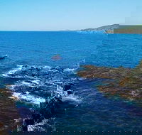 Julian Rocks Byron Bay Cruise