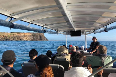 Julian Rocks Byron Bay Cruise - Gold Coast Attractions 4