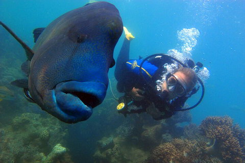 2 Night Whitsunday Islands Cruise On New Horizon From Airlie Beach - Gold Coast Attractions 4