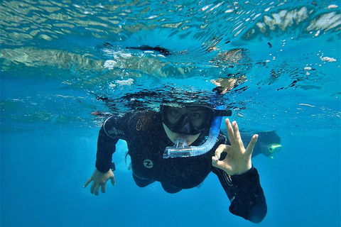 3 Day Whitsundays Sailing And Diving Adventure: Kiana - Gold Coast Attractions 0