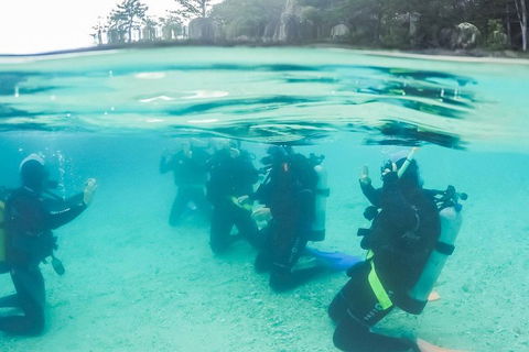3 Day Whitsundays Sailing And Diving Adventure: Kiana - Gold Coast Attractions 4