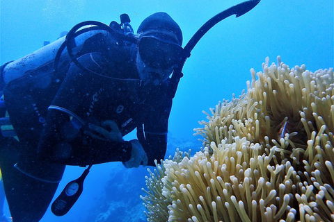 3 Day Whitsundays Sailing And Diving Adventure: Kiana - Gold Coast Attractions 5