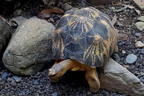 Hartley's Crocodile Adventures General Entry Ticket - Gold Coast Attractions 2