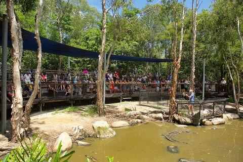 Hartley's Crocodile Adventures Breakfast With The Koalas - Gold Coast Attractions 1