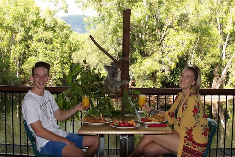 Hartley's Crocodile Adventures Breakfast With The Koalas - Gold Coast Attractions 5