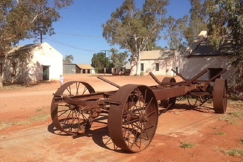 Palm Valley 4WD Day Tour - Gold Coast Attractions 0