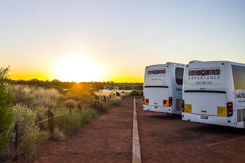 Uluru And Kata Tjuta Experience With BBQ Dinner - Gold Coast Attractions 2