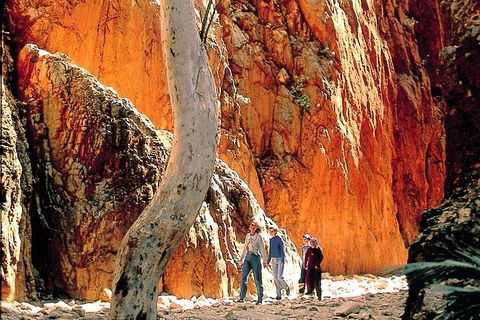 West MacDonnell Ranges Day Trip From Alice Springs - Gold Coast Attractions 3