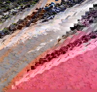 7-Day Exmouth Explorer via Pinnacles Monkey Mia Ningaloo Reef returning to Perth - Gold Coast Attractions