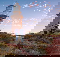 6-Day Coral Coaster from Perth to Exmouth One-Way via Monkey Mia Ningaloo Reef - Gold Coast Attractions