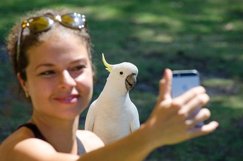 2-Day Melbourne To Adelaide Tour: Great Ocean Road And Grampians One Way Trip - Gold Coast Attractions 0