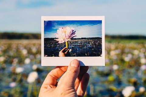 Kakadu Wilderness Escape - Top End Day Tour From Darwin - Gold Coast Attractions 3