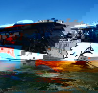 Express Jet Boat Ride  Aquaduck - Gold Coast Attractions