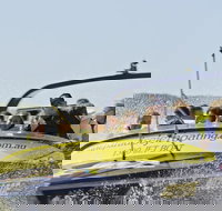 30-minute Jet Blast Express Ride - Gold Coast Attractions