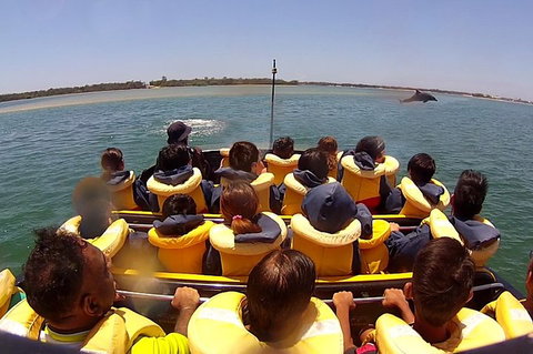 Jet Boat Express Ride - 30mins - Gold Coast Attractions 5