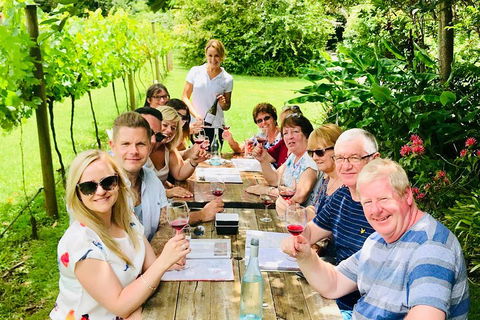 Mount Tamborine Wine Tasting Tour From Brisbane Or The Gold Coast - Gold Coast Attractions 5