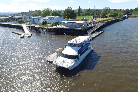 2.5 Hour Morning Discovery Cruise Including Sailing Into The Cataract Gorge - Gold Coast Attractions 3