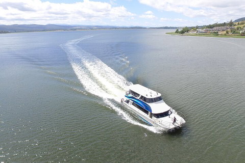 2.50 Hour Afternoon Discovery Cruise Including Cataract Gorge Departing At 3 Pm - Gold Coast Attractions 0