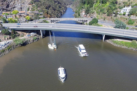 2.50 Hour Afternoon Discovery Cruise Including Cataract Gorge Departing At 3 Pm - Gold Coast Attractions 1