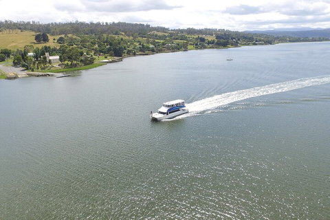 2.50 Hour Afternoon Discovery Cruise Including Cataract Gorge Departing At 3 Pm - Gold Coast Attractions 4
