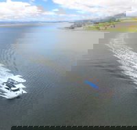 2.5 hour Afternoon Discovery Cruise including Cataract Gorge departs at 1 30 pm - Gold Coast Attractions