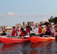 Brisbane River Guided Evening Tour by Kayak - Our Most Popular Tour - Gold Coast Attractions
