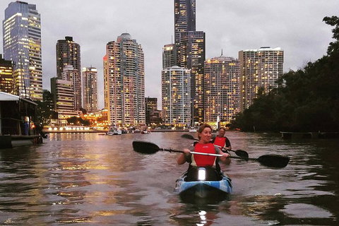 Brisbane River Guided Evening Tour By Kayak - Our Most Popular Tour - Gold Coast Attractions 3