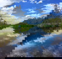 Noosa Everglades Serenity Cruise  Highlights Tour Inc. Lunch  Cruise - Gold Coast Attractions