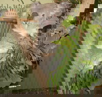 Blue Mountains Private Full-Day Tour from Sydney with Cruise - Gold Coast Attractions