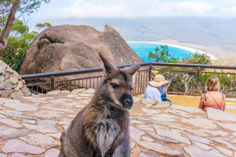 Wineglass Bay & Freycinet NP Full Day Tour From Hobart Via Richmond Village - Gold Coast Attractions 0