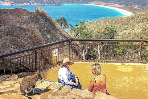 Wineglass Bay & Freycinet NP Full Day Tour From Hobart Via Richmond Village - Gold Coast Attractions 1