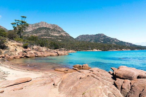 Wineglass Bay & Freycinet NP Full Day Tour From Hobart Via Richmond Village - Gold Coast Attractions 5