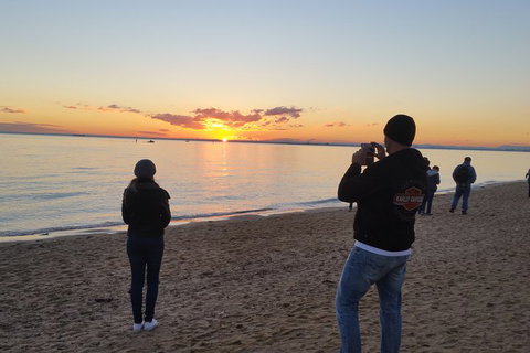 In And Around Melbourne - Gold Coast Attractions 4