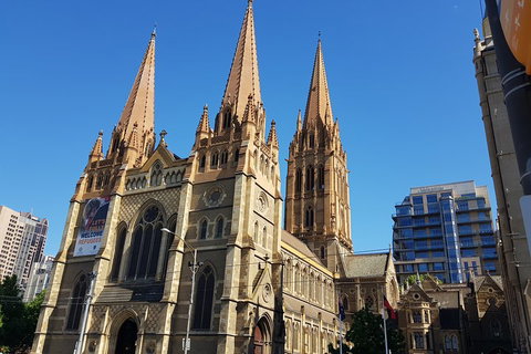 In And Around Melbourne - Gold Coast Attractions 5