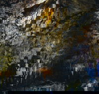 Ngilgi Cave Semi-guided Tour - Gold Coast Attractions