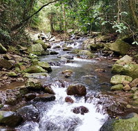 Springbrook Full Day Tour - Gold Coast Attractions