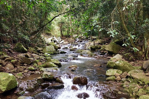 Exclusive Private Tour - Design Your Own - Gold Coast Attractions 1