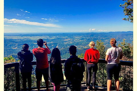 Exclusive Private Tour - Design Your Own - Gold Coast Attractions 2