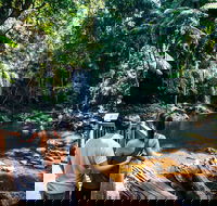 Aquaduck  Your choice of Gold Coast Rainforest Tour - Gold Coast Attractions