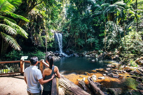 Aquaduck & Your Choice Of Gold Coast Rainforest Tour - Gold Coast Attractions 0