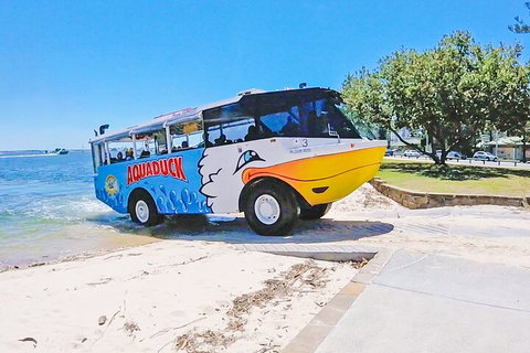 Aquaduck & Your Choice Of Gold Coast Rainforest Tour - Gold Coast Attractions 1