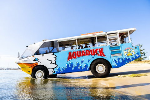 Aquaduck & Your Choice Of Gold Coast Rainforest Tour - Gold Coast Attractions 3