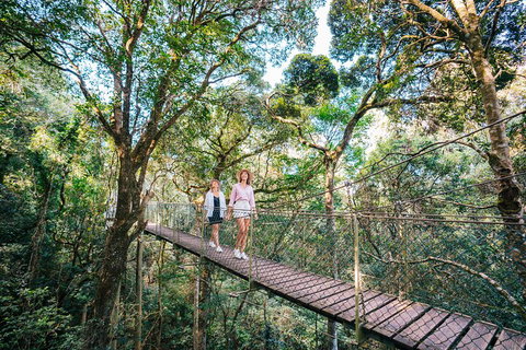 Aquaduck & Your Choice Of Gold Coast Rainforest Tour - Gold Coast Attractions 4