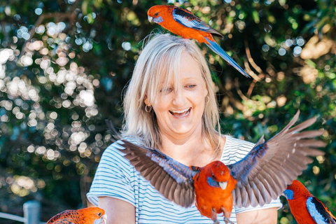 Aquaduck & Your Choice Of Gold Coast Rainforest Tour - Gold Coast Attractions 5