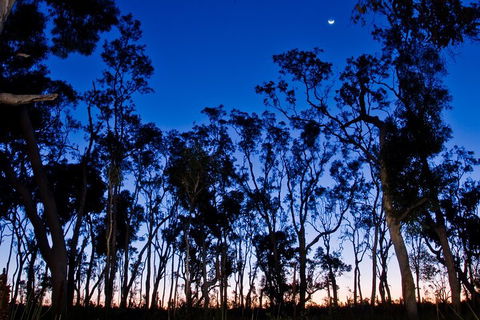 Small-Group Kangaroo Island 4WD Night Tour - Gold Coast Attractions 2
